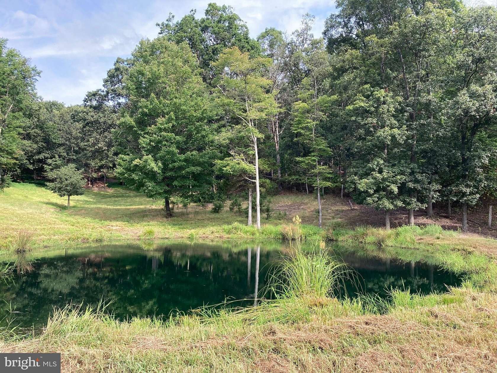 20 Acres of Land for Sale in Winchester, Virginia