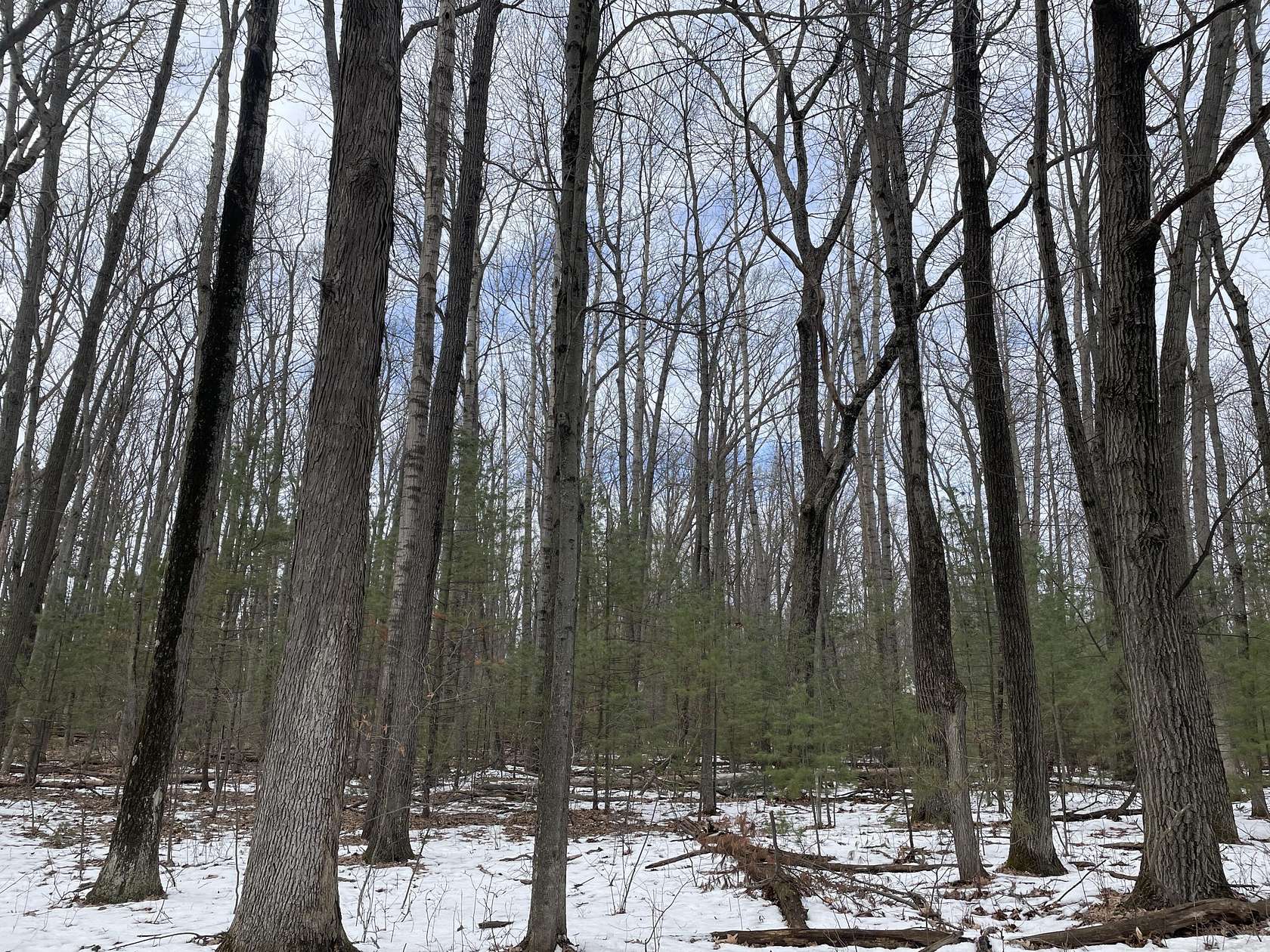 0.59 Acres of Land for Sale in Roscommon, Michigan