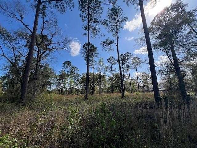 1.15 Acres of Residential Land for Sale in Brunswick, Georgia