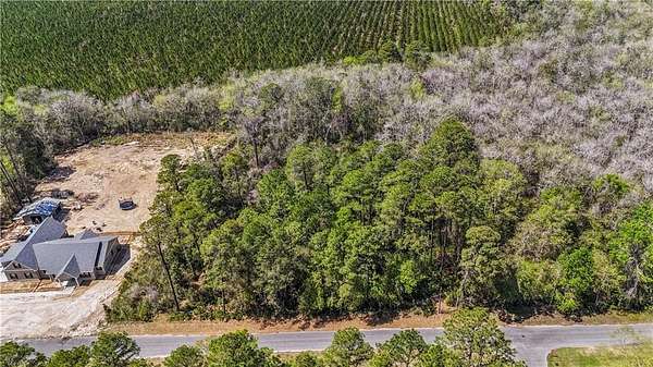 2 Acres of Residential Land for Sale in Jesup, Georgia