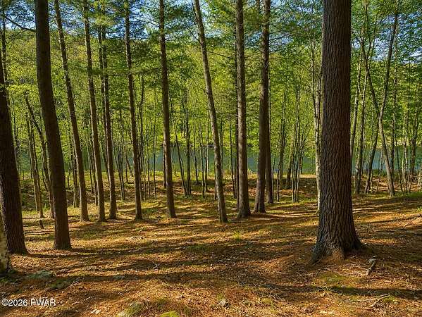 1 Acre of Residential Land for Sale in Hawley, Pennsylvania