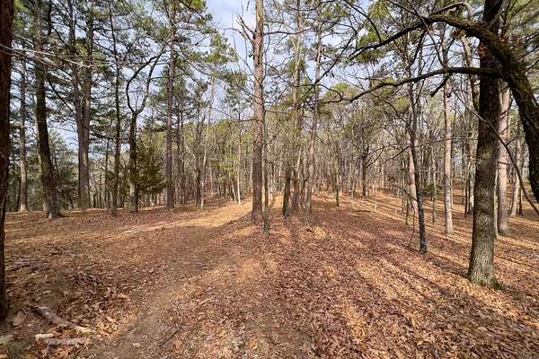 142 Acres of Recreational & Residential Land for Sale in Little Rock, Arkansas