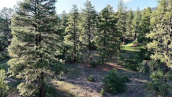 0.65 Acres of Residential Land for Sale in Durango, Colorado