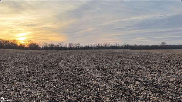 492 Acres of Agricultural Land for Sale in Parkersburg, Iowa