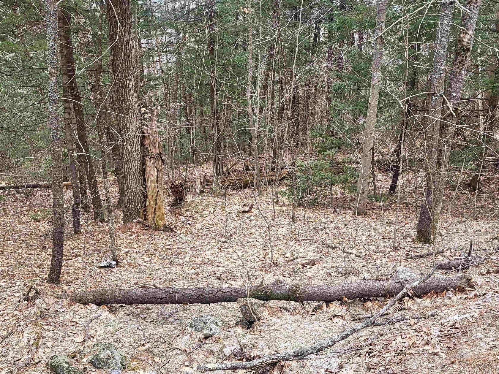 15.6 Acres of Agricultural Land for Sale in Danbury, New Hampshire