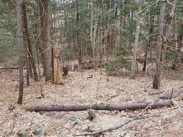 15.6 Acres of Agricultural Land for Sale in Danbury, New Hampshire
