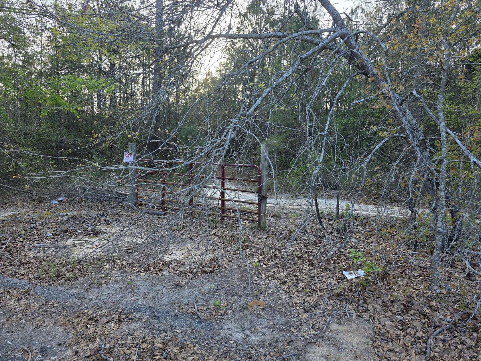 100 Acres of Land for Sale in Hephzibah, Georgia