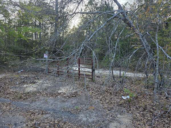 100 Acres of Land for Sale in Hephzibah, Georgia