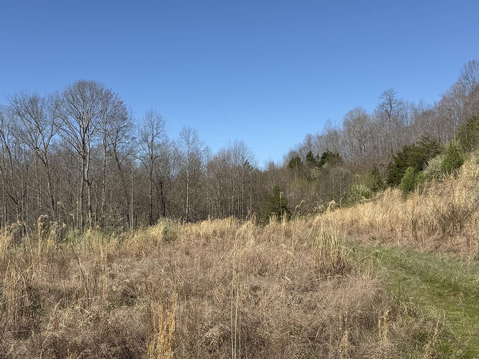 20 Acres of Land for Sale in Gray, Kentucky