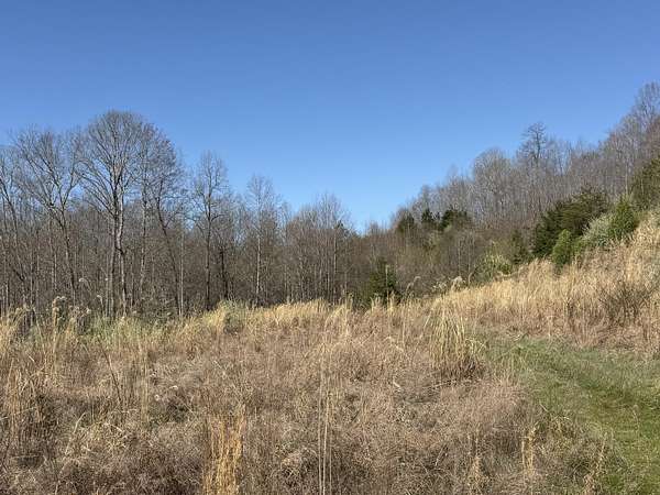 20 Acres of Land for Sale in Gray, Kentucky