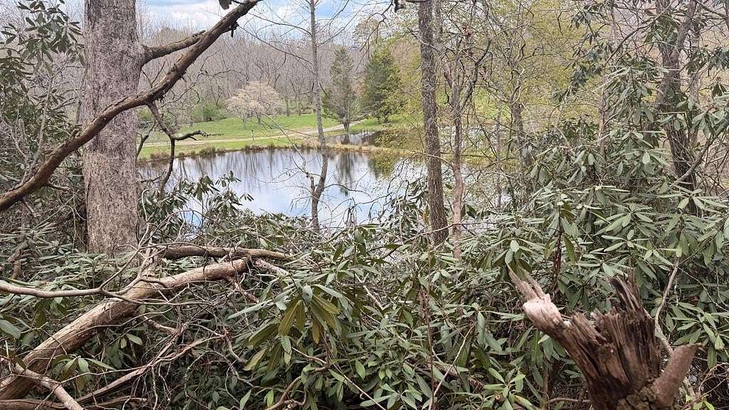 4.79 Acres of Residential Land for Sale in Hayesville, North Carolina