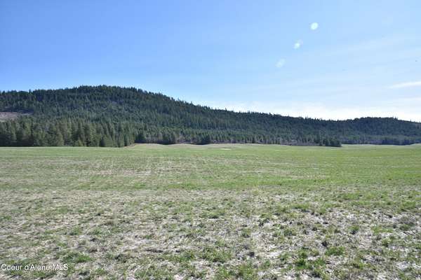 80 Acres of Land for Sale in Plummer, Idaho