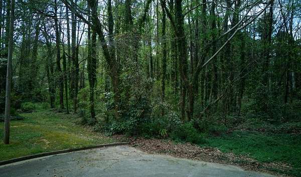 0.74 Acres of Residential Land for Sale in Lithonia, Georgia