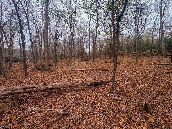 1.36 Acres of Residential Land for Sale in Denton, North Carolina