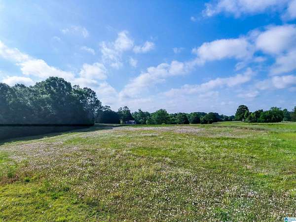 9 Acres of Residential Land for Sale in Hope Hull, Alabama