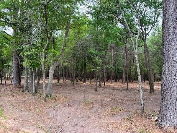 18.4 Acres of Land for Sale in Dothan, Alabama