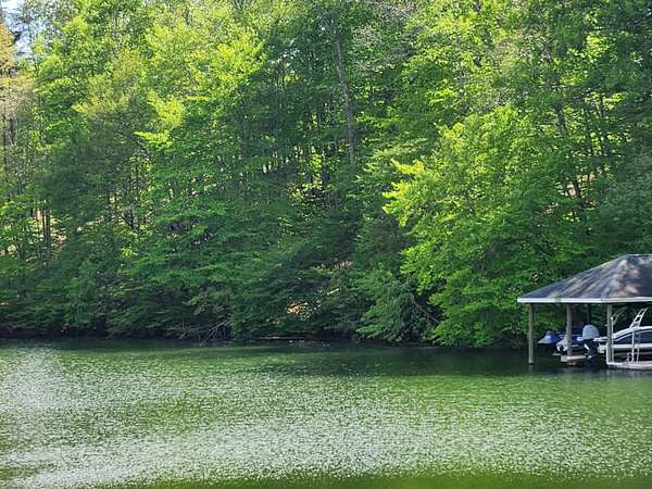 0.62 Acres of Residential Land for Sale in Hardy, Virginia