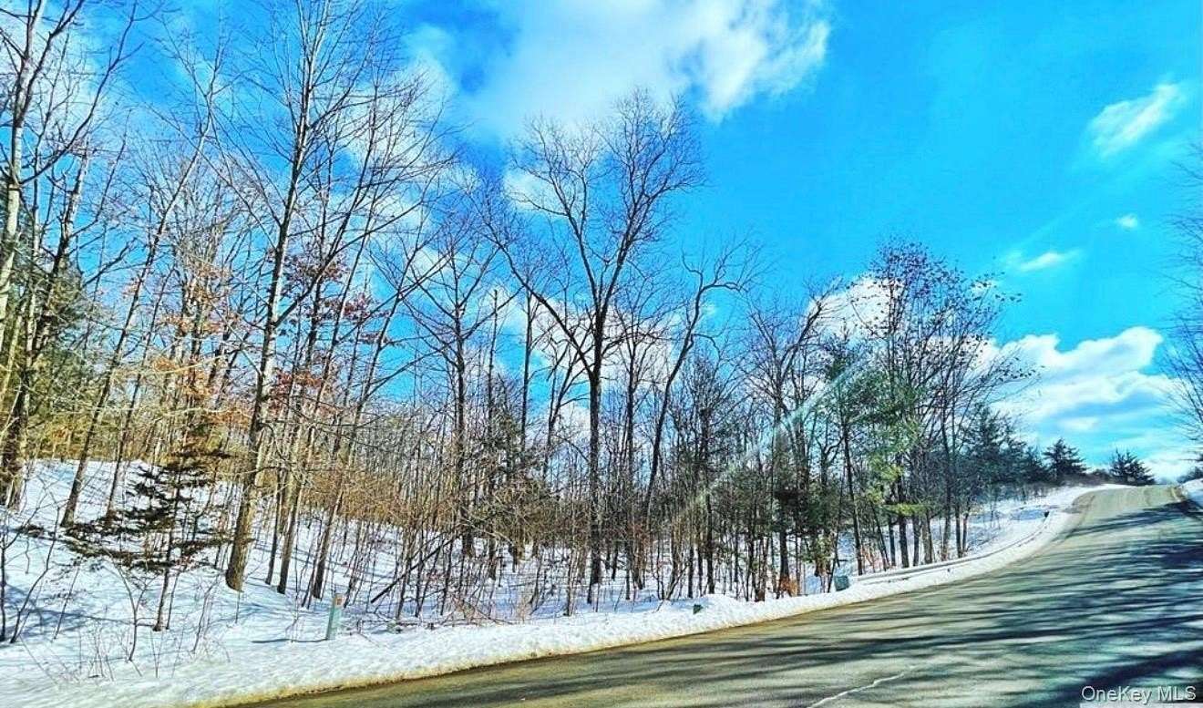 0.28 Acres of Land for Sale in Athens, New York