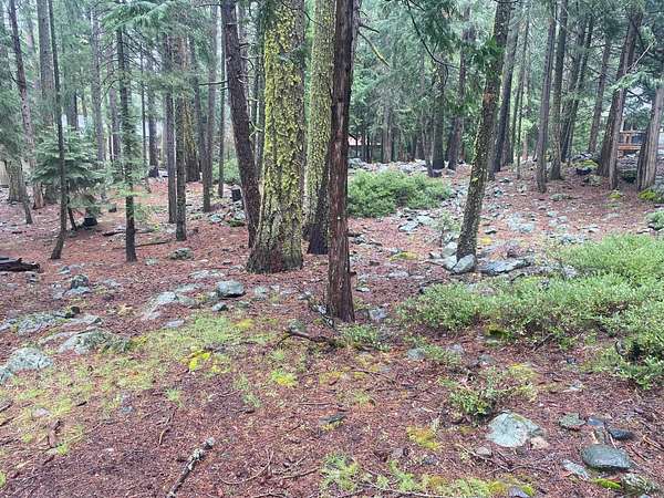 0.44 Acres of Residential Land for Sale in Graeagle, California