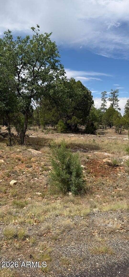 2 Acres of Commercial Land for Sale in Happy Jack, Arizona