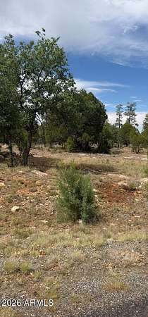 2 Acres of Commercial Land for Sale in Happy Jack, Arizona
