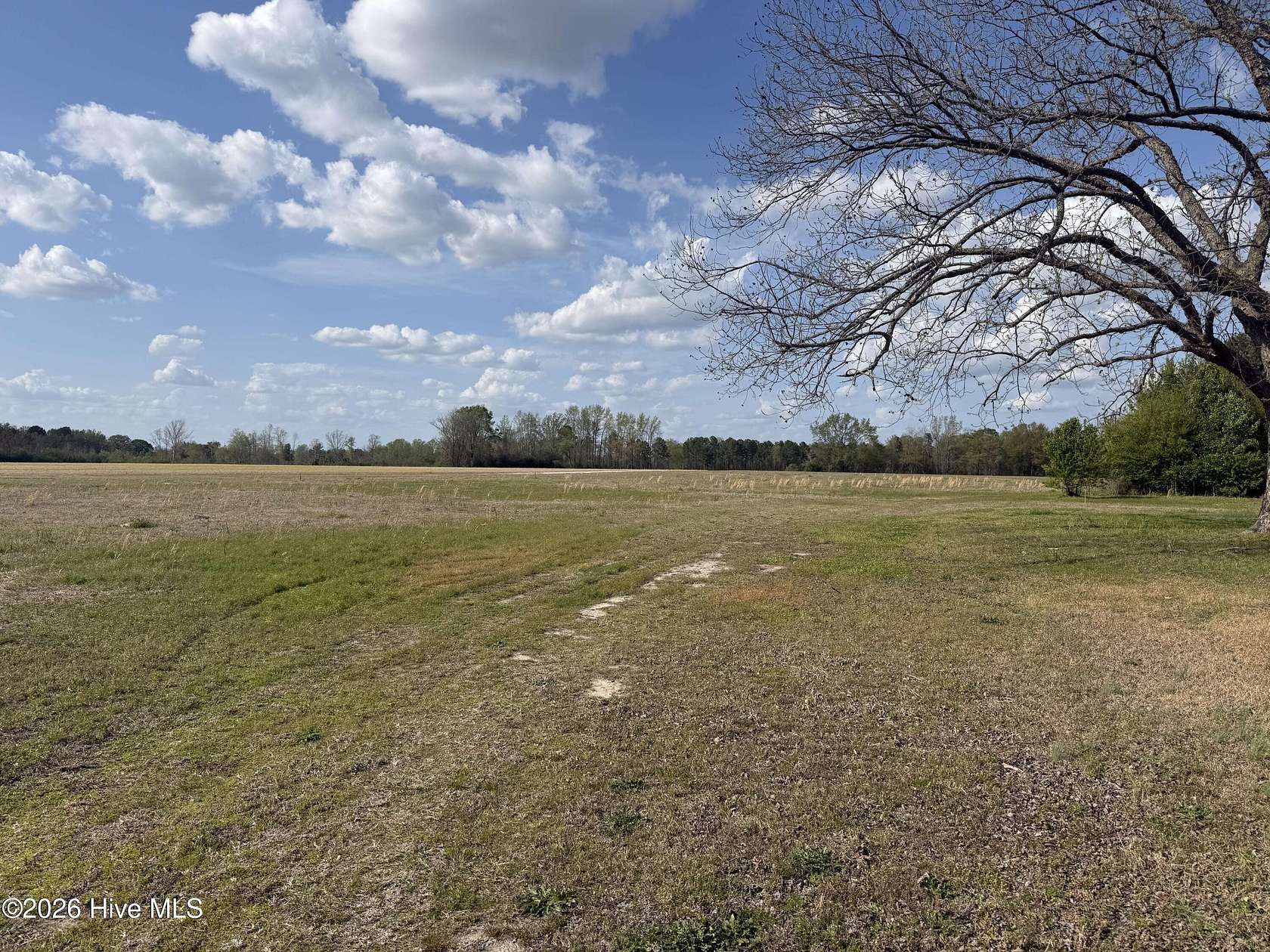 11.9 Acres of Agricultural Land for Sale in Elm City, North Carolina