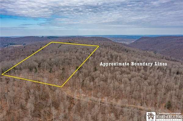 55.3 Acres of Recreational Land for Sale in Frewsburg, New York