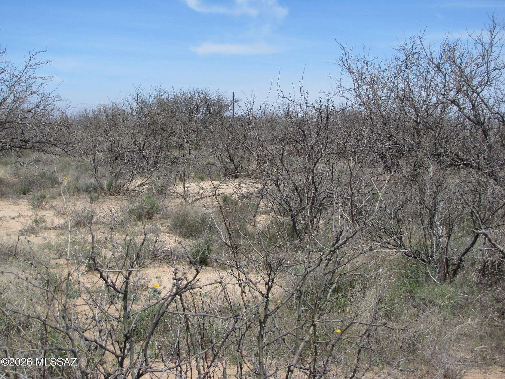 0.93 Acres of Land for Sale in Cochise, Arizona