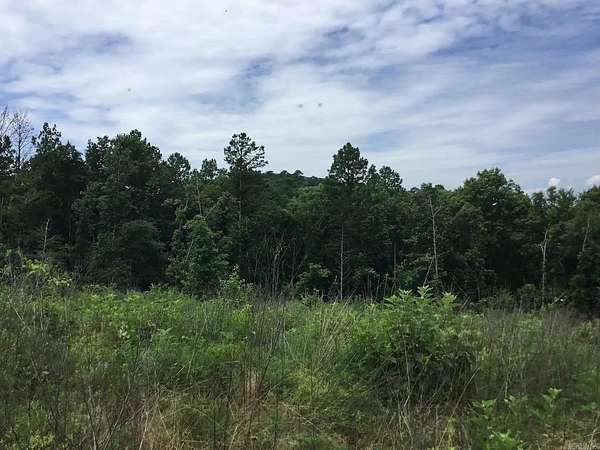 276 Acres of Land for Sale in Chismville, Arkansas