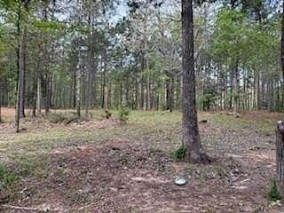 19.7 Acres of Recreational & Residential Land for Sale in Nacogdoches, Texas