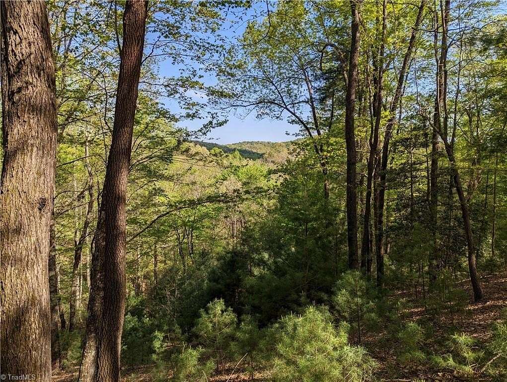 2.2 Acres of Residential Land for Sale in McGrady, North Carolina