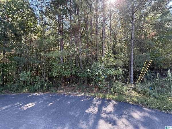 2.48 Acres of Residential Land for Sale in Odenville, Alabama