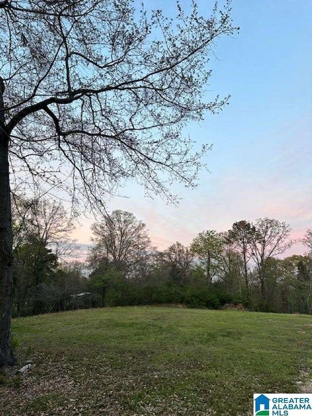 2 Acres of Land for Sale in Chelsea, Alabama