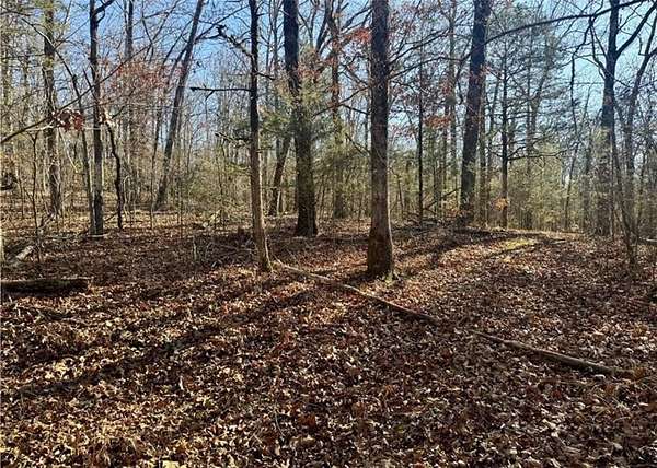 70 Acres of Recreational Land for Sale in Rudy, Arkansas
