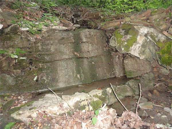 19.7 Acres of Recreational & Residential Land for Sale in Marshall, Arkansas