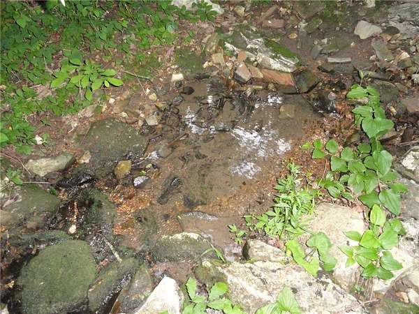 19.7 Acres of Recreational & Residential Land for Sale in Marshall, Arkansas