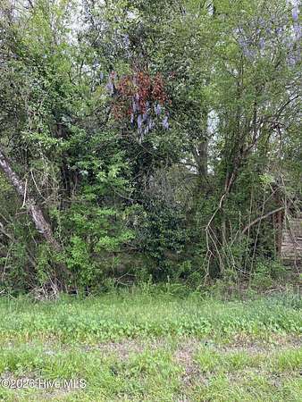 0.15 Acres of Residential Land for Sale in Laurel Hill, North Carolina
