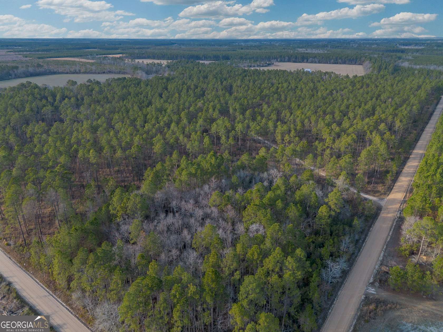 125 Acres of Land for Sale in Odum, Georgia