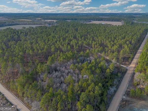 125 Acres of Land for Sale in Odum, Georgia