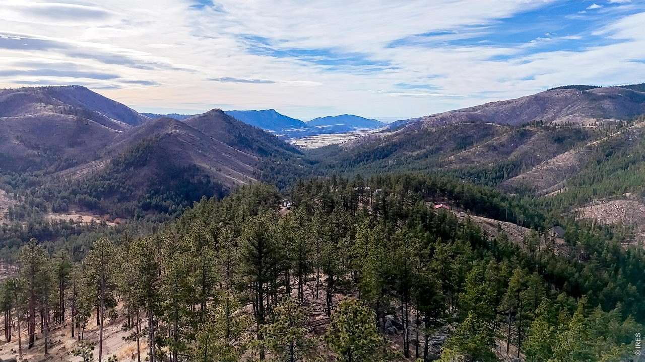 20 Acres of Recreational Land for Sale in Bellvue, Colorado