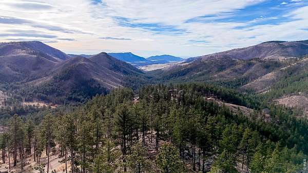 20 Acres of Recreational Land for Sale in Bellvue, Colorado