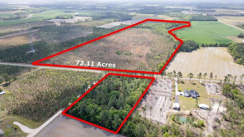 73.1 Acres of Recreational & Residential Land for Sale in Baxley, Georgia