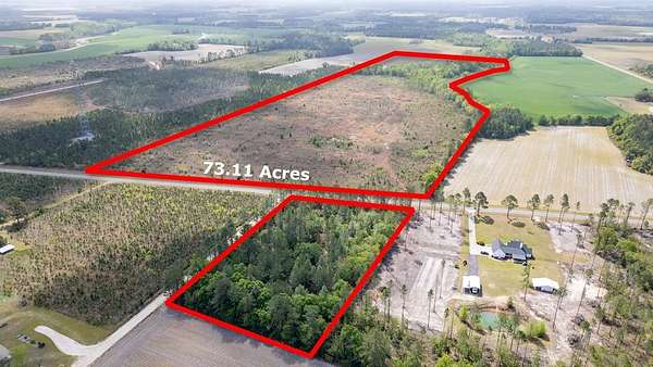 73.1 Acres of Recreational & Residential Land for Sale in Baxley, Georgia