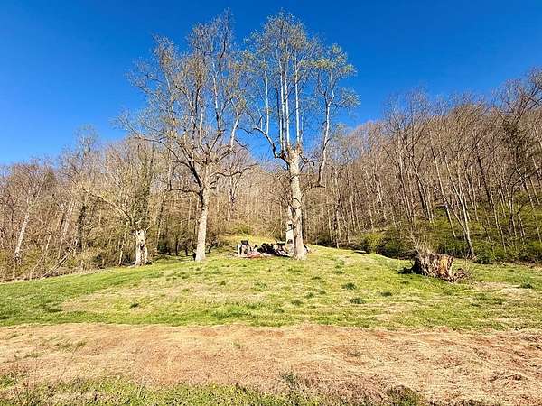 49 Acres of Recreational & Residential Land for Sale in Bosco, Kentucky