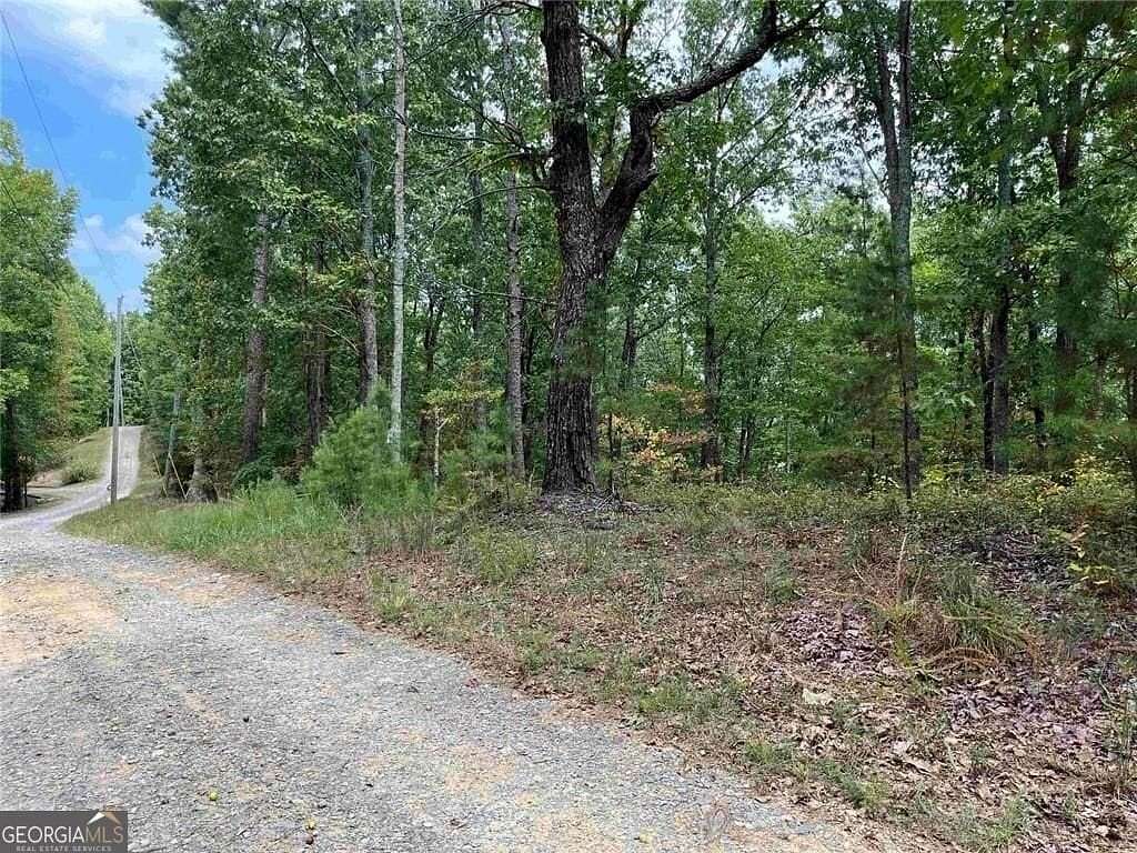 1.4 Acres of Residential Land for Sale in Ranger, Georgia