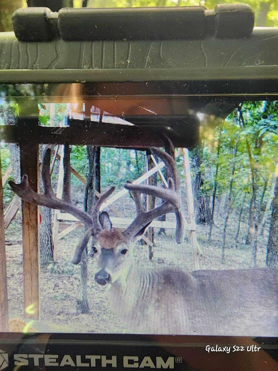 29 Acres of Recreational Land for Sale in Lucasville, Ohio