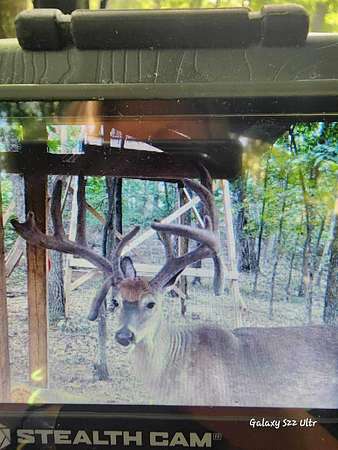 29 Acres of Recreational Land for Sale in Lucasville, Ohio