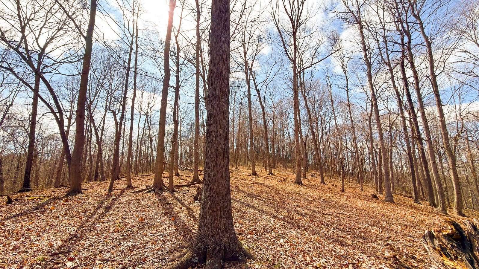 213 Acres of Recreational & Residential Land for Sale in Lucasville, Ohio