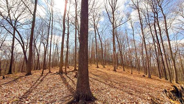 213 Acres of Recreational & Residential Land for Sale in Lucasville, Ohio