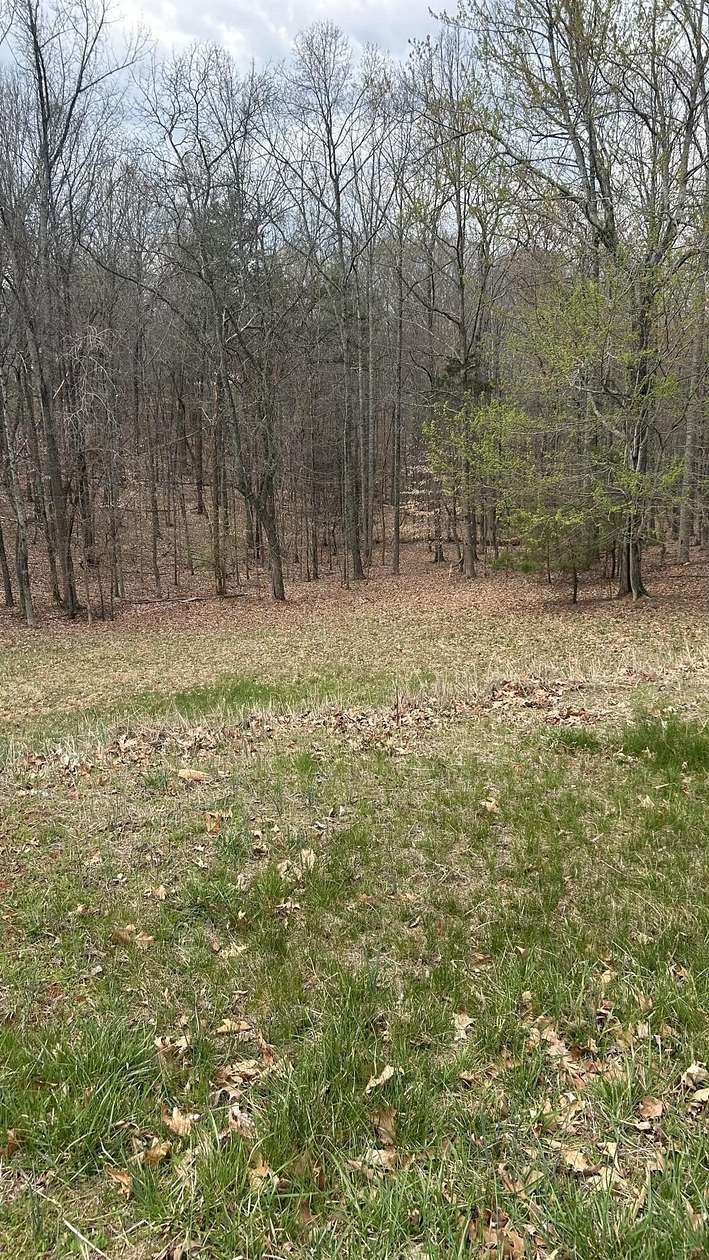 1 Acre of Residential Land for Sale in Forest, Virginia